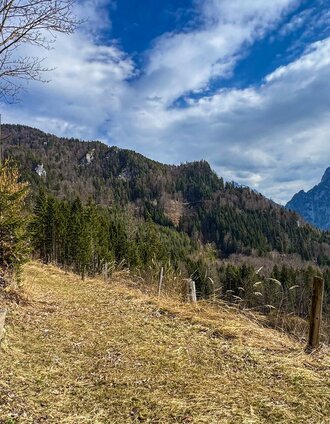 Brunngrabenrunde-barbarapirringer.jpg | Barbara Pirringer