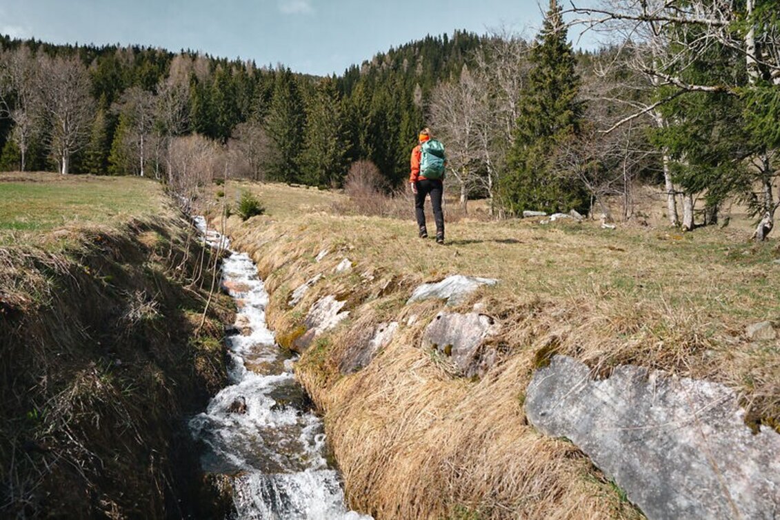 Wanderung Dreigrabenweg Lassing Nr. 8 - Touren-Impression #1 | © Christoph Lukas