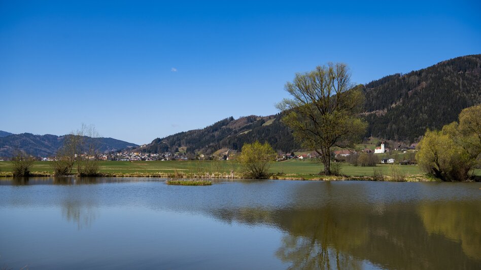 Rennrad Rennradrunde ab dem 50plus Campingpark Fisching - Touren-Impression #2.3 | © TourismusamSpielberg