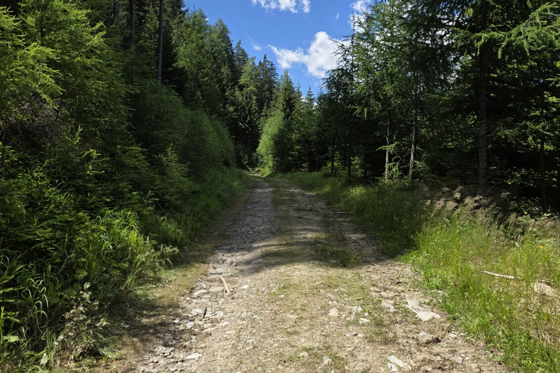 Hiking Route A short walk from Hohentauern - Touren-Impression #1 | © Marlene Zandl
