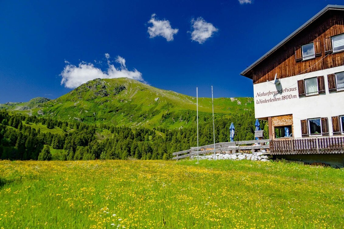 Hiking Route From the Schmelz hut to the Winterleiten - Touren-Impression #1 | © Erlebnisregion Murtal