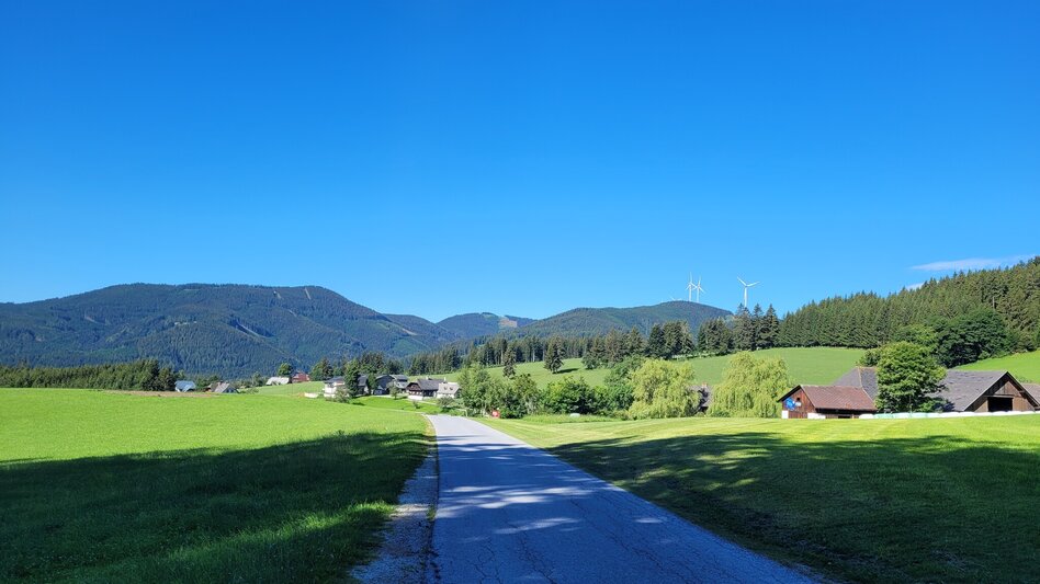 Panoramatouren/Themenstraßen Motorradtour  Berge und Täler mit Pfaffensattel  - Touren-Impression #2.4 | © Oststeiermark Tourismus