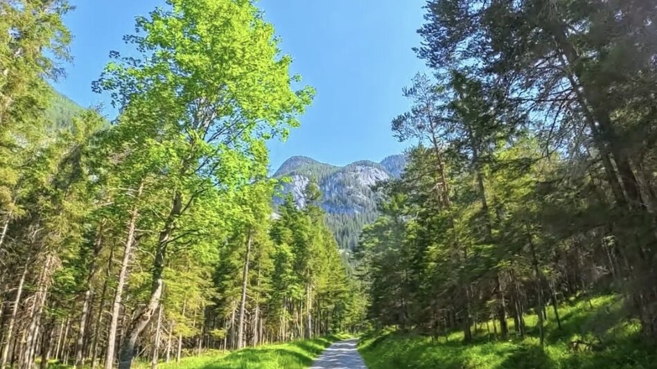 Wanderung Wanderung zum Gradenbachwasserfall  - Touren-Impression #2.2 | © Marlene Eggmayr