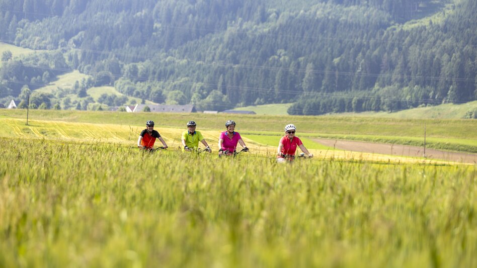 Radfahren Gravel- & Genussradrunde ab Fisching ins Zirbenland - Touren-Impression #2.1 | © TomLamm