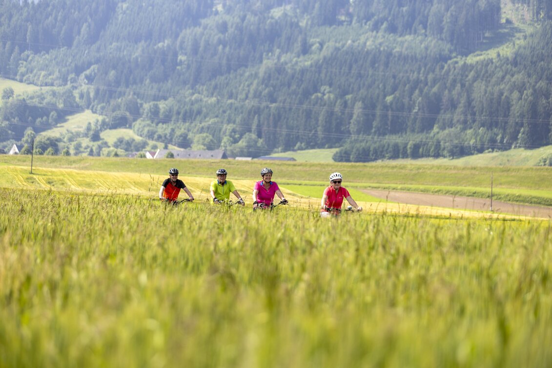 Cycling Gravel & Leisure Bike Tour from Fisching to Zirbenland - Touren-Impression #1 | © TomLamm