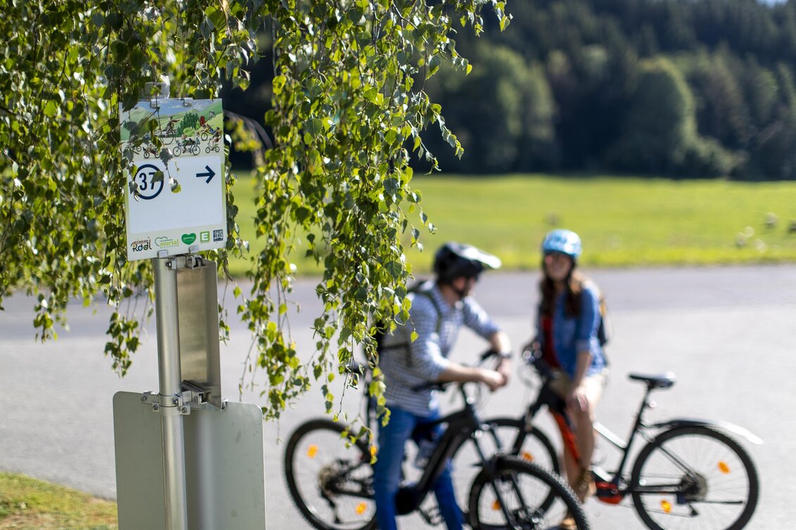 Cycling A Short Ride Starting in Fisching - Touren-Impression #1 | © Bett & Bike Fisching