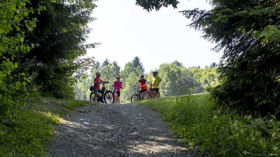 Radfahren Nimm’s Radl: Kurze Genussrunde ab Fisching - Touren-Impression #2.3 | © TomLamm