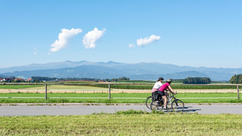 Radfahren Genussradeln ab Camping Wildbolz - Touren-Impression #2.1 | © ANITAFOESSL