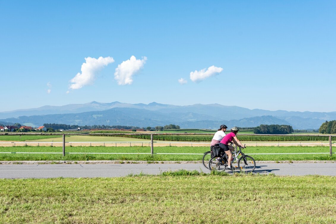 Cycling Leisurely Cycling from Camping Wildbolz - Touren-Impression #1 | © ANITAFOESSL