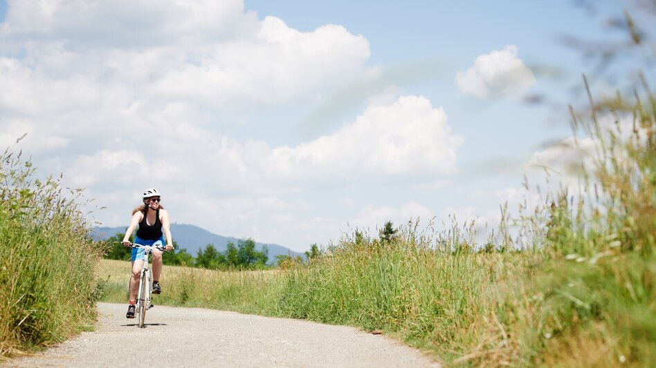 Radfahren Genussradeln ab Camping Wildbolz - Touren-Impression #2.5 | © KOENIGSHOFER MICHAEL