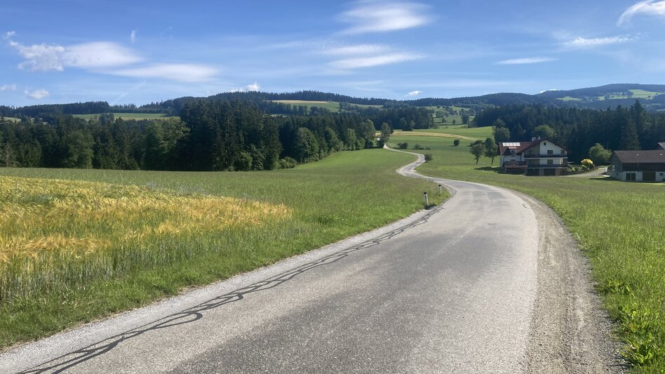 Panoramatouren/Themenstraßen Motorradtour Kurven und Hügel  mit Geschriebenstein - Touren-Impression #2.1 | © Oststeiermark Tourismus