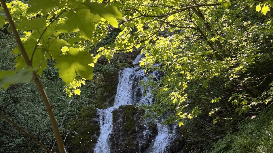 Wanderung Krumpensee - Touren-Impression #2.5 | © TVB Erzberg-Leoben