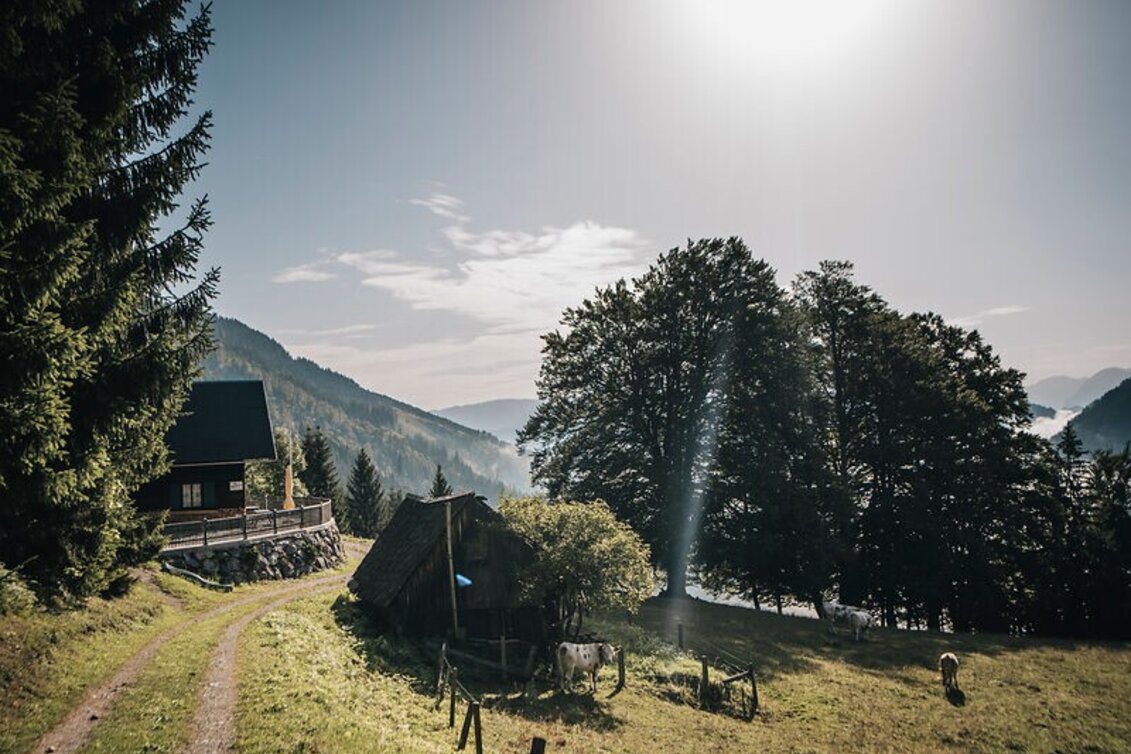 Mountainbike Auf den Spuren der Gamssteinrunde  - Touren-Impression #1 | © www.stefanleitner.com