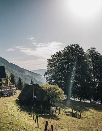 Naturfreundehütte Palfau_1.jpg | Stefan Leitner | © www.stefanleitner.com
