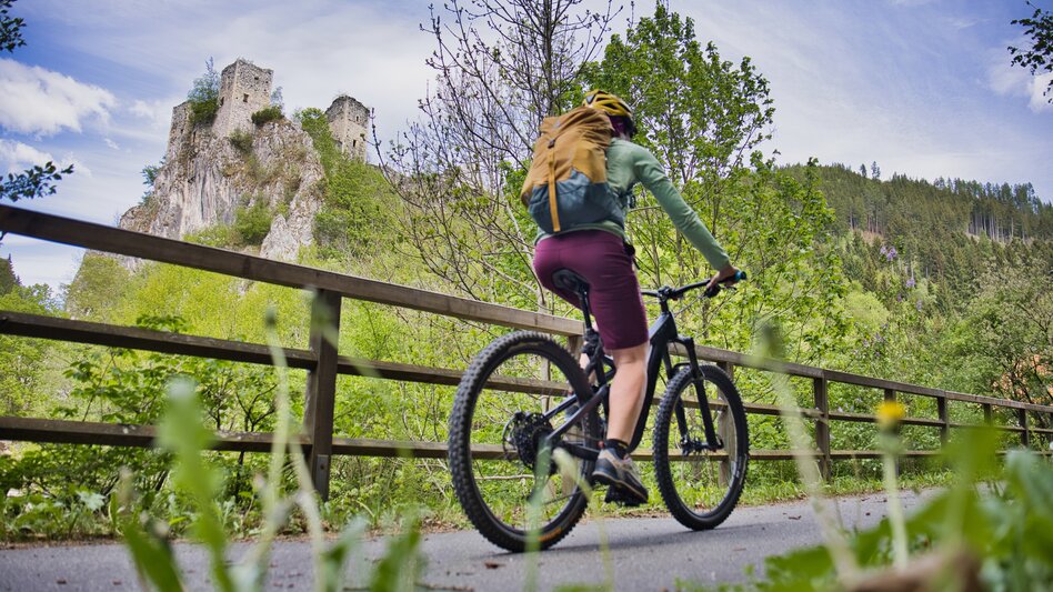 Mountainbike Von Haube zu Haube radeln - Haubentour mit Hochschwab-Panorama - Touren-Impression #2.4 | © Tourismusverband Hochsteiermark
