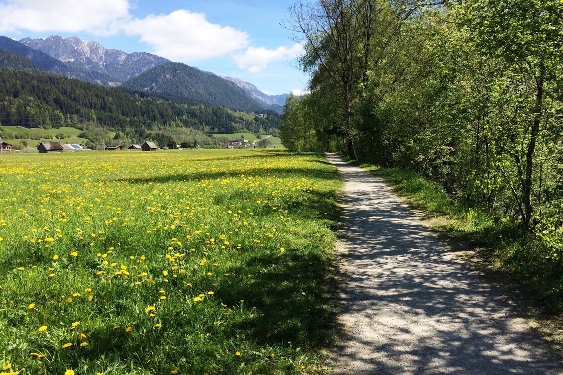 Wanderung Ennsrundweg - barrierefreier Naturgenuss  - Touren-Impression #1 | © Erlebnisregion Schladming-Dachstein