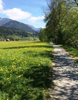 Ennsrundweg im Frühling | Katrin Hutegger | © Erlebnisregion Schladming-Dachstein