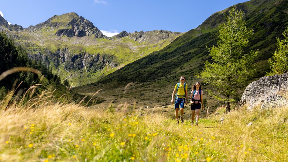 Spazierweg Wasserfallweg Eselsbergeralm - Touren-Impression #2.3 | © TV Murau