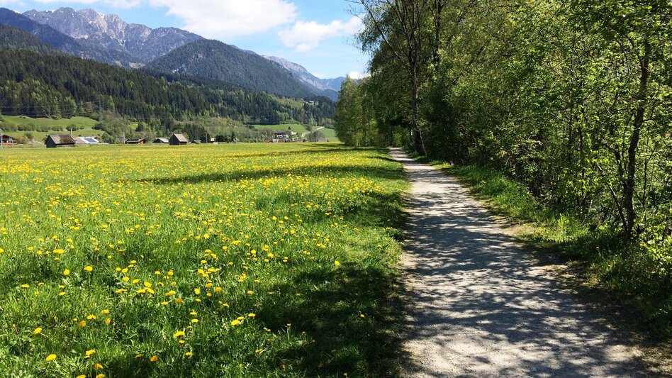 Hiking Route Enns Sports Field Loop - Accessible Route Option - Touren-Impression #2.3 | © Erlebnisregion Schladming-Dachstein