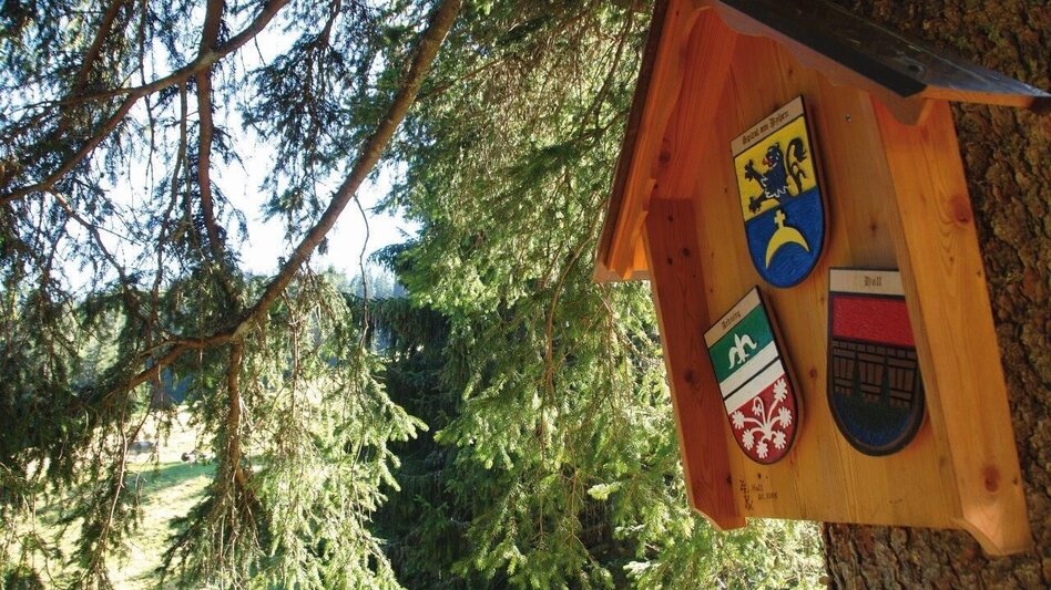 Mehrtagestouren UMLEITUNG 07 Admonterhaus - Rohrauerhaus, Gesäuse Hüttenrunde   - Touren-Impression #2.5 | © TV Gesäuse