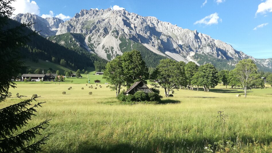 Promenade Route Schildlehen Loop  - Touren-Impression #2.1 | © Erlebnisregion Schladming-Dachstein