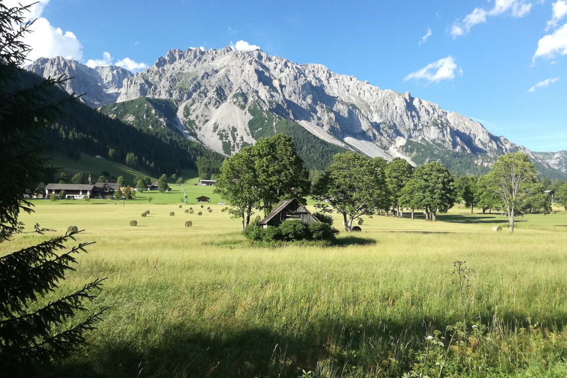 Promenade Route Schildlehen Loop  - Touren-Impression #1 | © Erlebnisregion Schladming-Dachstein