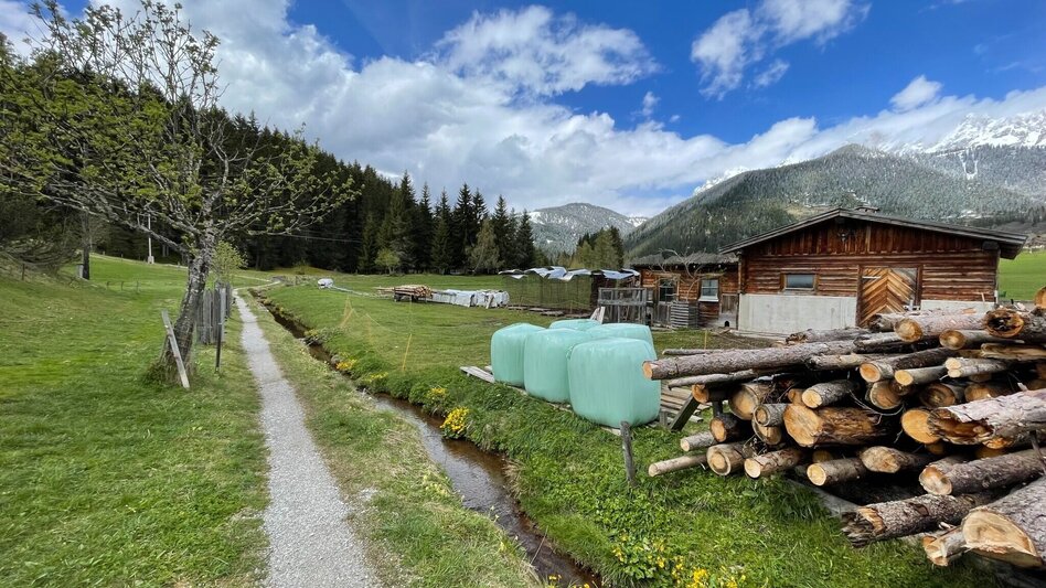Promenade Route Schildlehen Loop  - Touren-Impression #2.2 | © Erlebnisregion Schladming-Dachstein