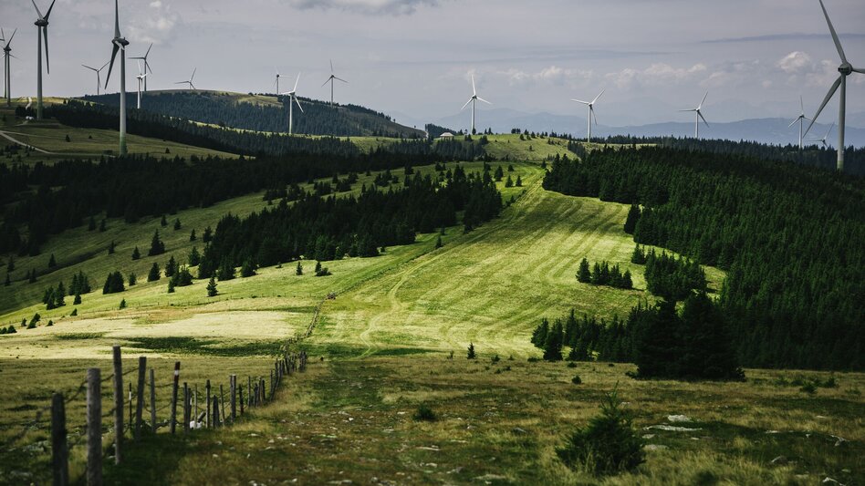 Fernwanderweg alpannonia Etappe 2 Pretul - Hochwechsel - Touren-Impression #2.3 | © Oststeiermark Tourismus