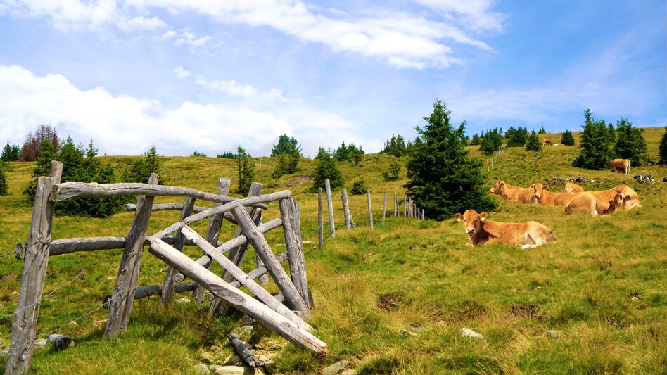 Fernwanderweg alpannonia Etappe 3 Hochwechsel - Friedberg - Touren-Impression #2.1 | © Oststeiermark Tourismus