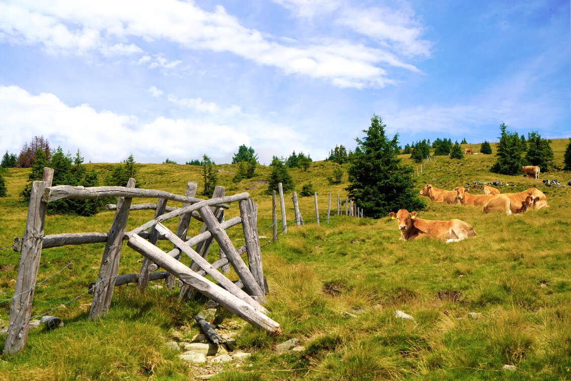 Fernwanderweg alpannonia Etappe 3 Hochwechsel - Friedberg - Touren-Impression #1 | © Oststeiermark Tourismus
