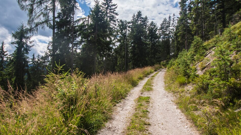 Wanderung Sonnenalm-Panoramaweg  - Touren-Impression #2.4 | © Gerhard Pilz - www.gpic.at