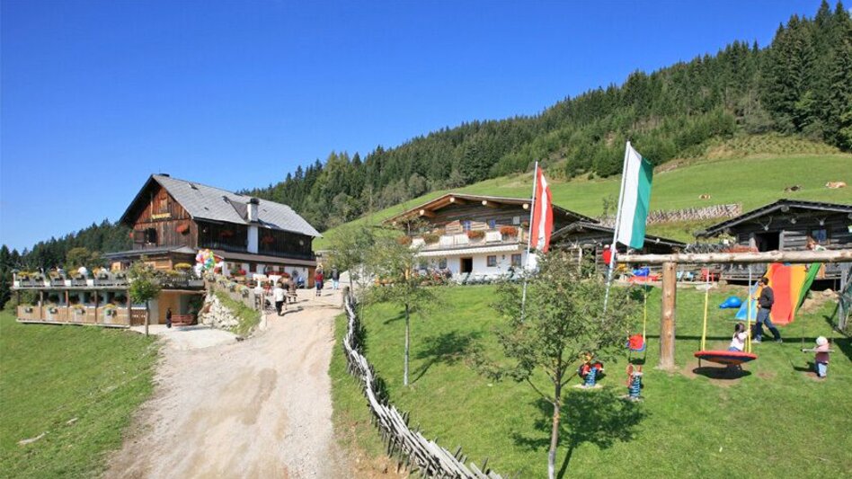 Wanderung Ochsenpfadrunde  - Touren-Impression #2.5 | © Erlebnisregion Schladming-Dachstein