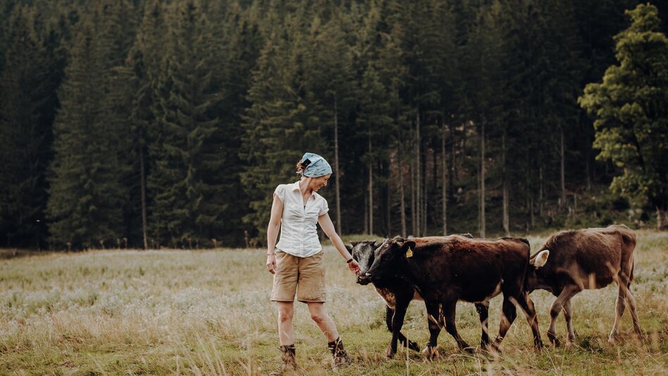 Hiking Route Walk to the Gsollalm - Touren-Impression #2.2 | © GenussReich