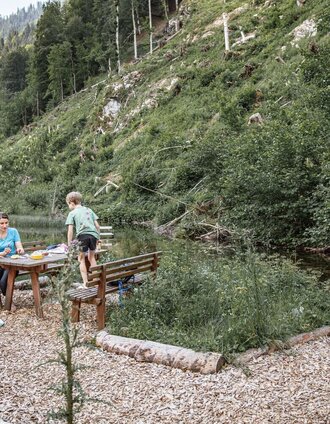Rastplatz bei der Kneippanlage | Thomas Sattler | © TV Gesäuse