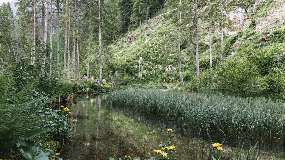 Wasserweg Naturkneippweg - Touren-Impression #2.2 | © TV Gesäuse