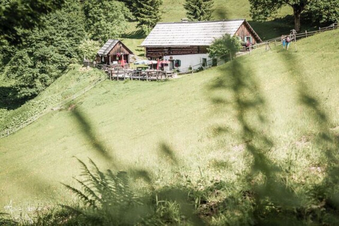 Wanderung Reitsteig zur Kölblalm - Touren-Impression #1 | © TV Gesäuse