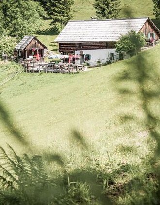 Kölblalm | Tourismusverband Gesäuse | © TV Gesäuse
