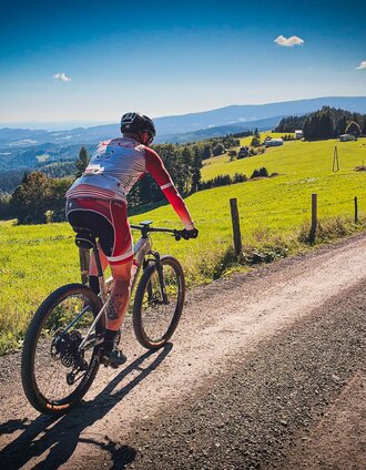Panoramic views on the Edelschrott Panorama Tour 183 | Hannes Wallner | © Region Graz