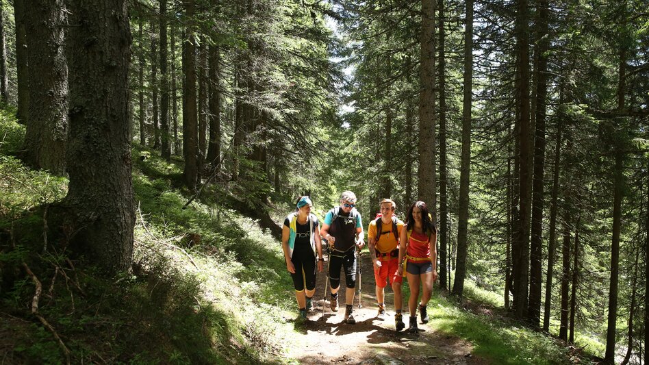 Wanderung Taurer-Erlebnisrunde - Touren-Impression #2.1 | © Herbert Raffalt