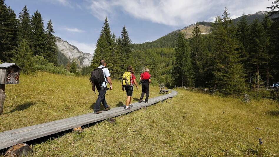 Wanderung Taurer-Erlebnisrunde - Touren-Impression #2.4 | © Erlebnisregion Murtal