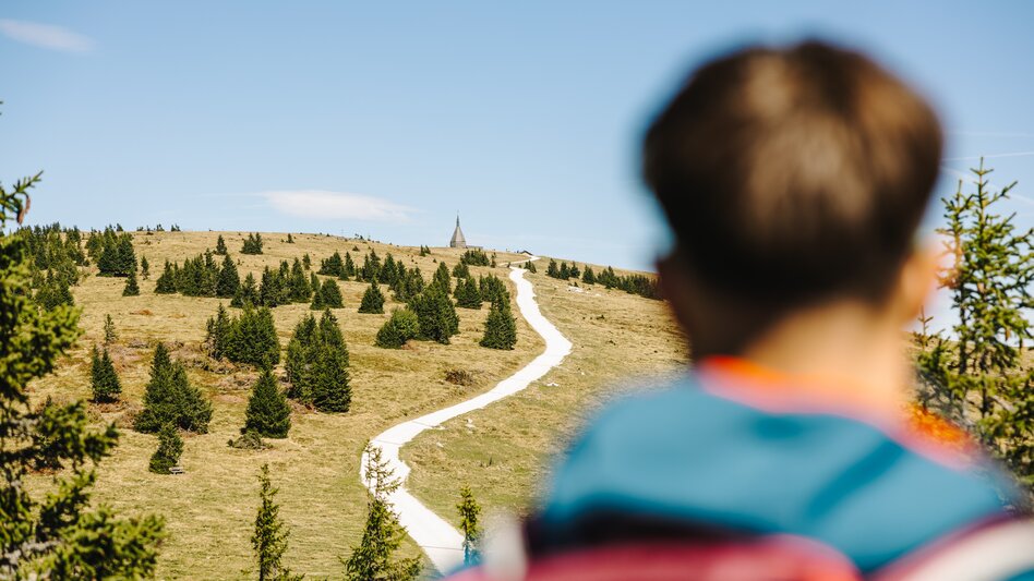 Wanderung alpannonia Weitwanderweg Fischbach - Bernstein - Touren-Impression #2.1 | © Oststeiermark Tourismus
