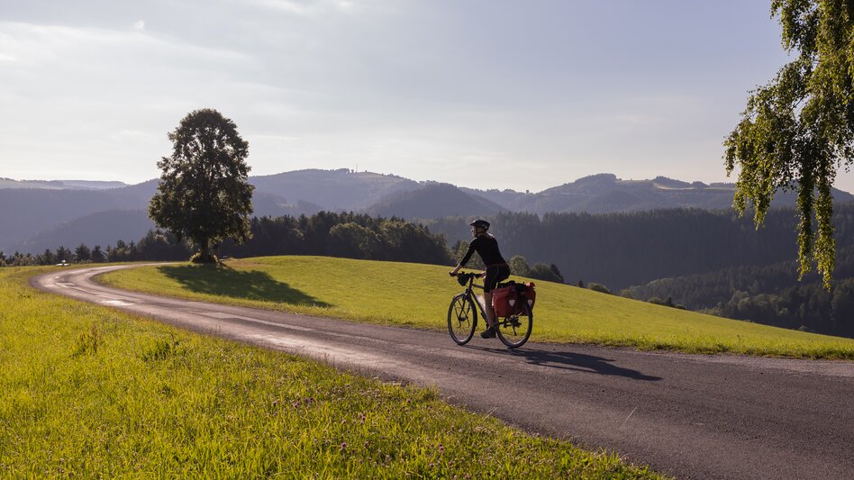 Am EuroVelo 9 knapp vor Mönichwald | © (c) Niederösterreich-Werbung/Franziska Consolati