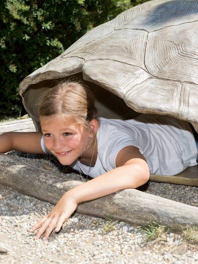 Hölzerne Schildkröte | © Tierwelt Herberstein | © Tierwelt Herberstein