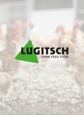 Lugitsch