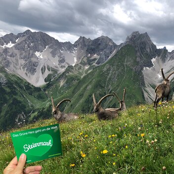 6. PLatz: Lechtaler Alpen - Tirol | © Gabriele Spiess