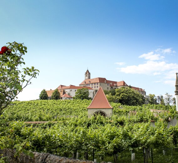 Riegersburg  | © Steiermark Tourismus | Günther Steininger