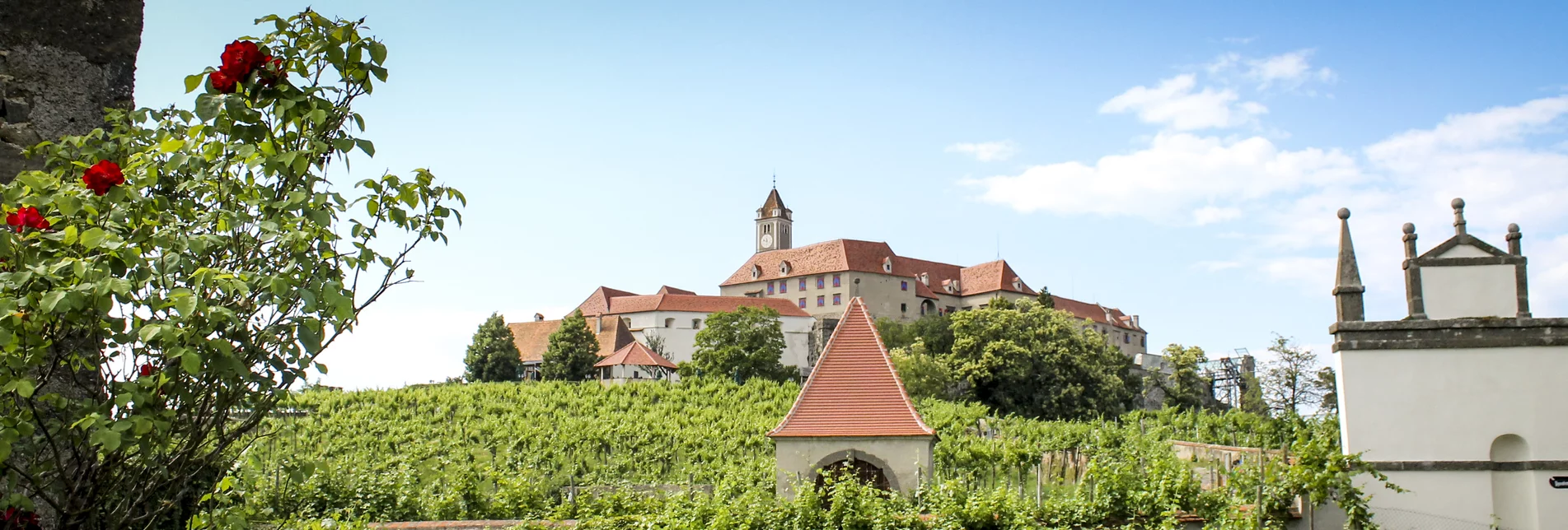 Riegersburg Castle with vineyard | © Steiermark Tourismus | Günther Steininger