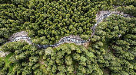 Schmelzbach schlingt sich durch die steirischen Wälder | © Steiermark Tourismus | Tom Lamm