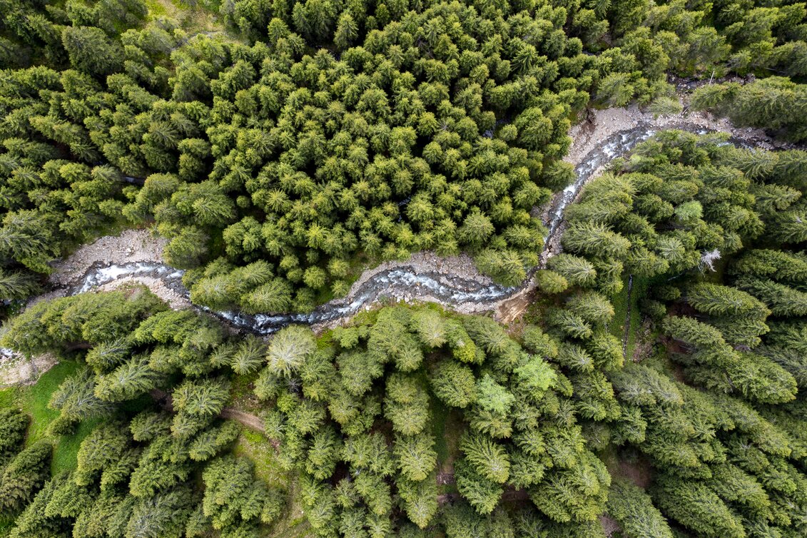 Schmelzbach schlingt sich durch die steirischen Wälder | © STG | Tom Lamm