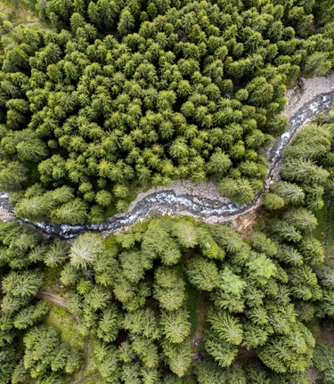 Schmelzbach schlingt sich durch die steirischen Wälder | © STG | Tom Lamm
